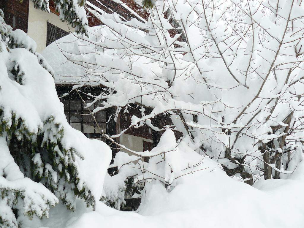 Residence Felik Gressoney-la-Trinité Exteriör bild